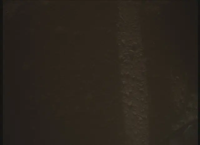 Sol 0: Mars Descent Imager (MARDI)