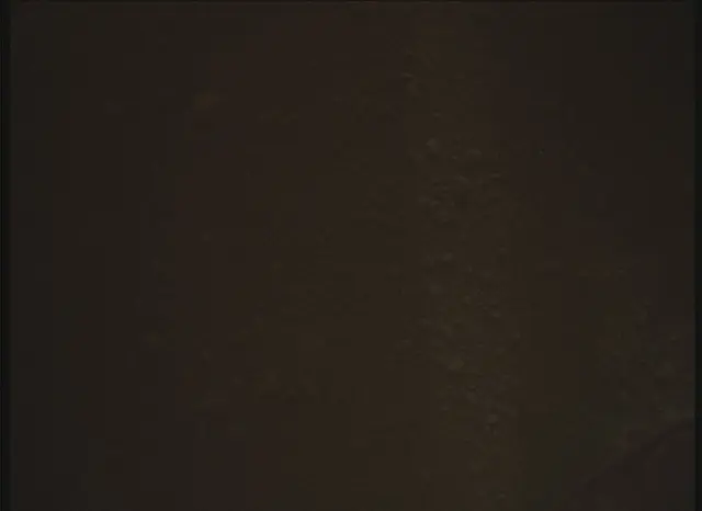 Sol 0: Mars Descent Imager (MARDI)
