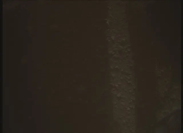 Sol 0: Mars Descent Imager (MARDI)