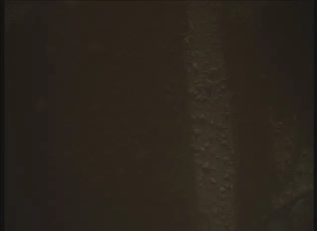 Sol 0: Mars Descent Imager (MARDI)