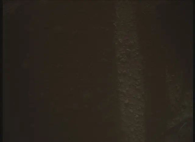 Sol 0: Mars Descent Imager (MARDI)