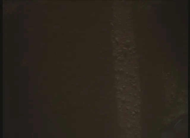Sol 0: Mars Descent Imager (MARDI)