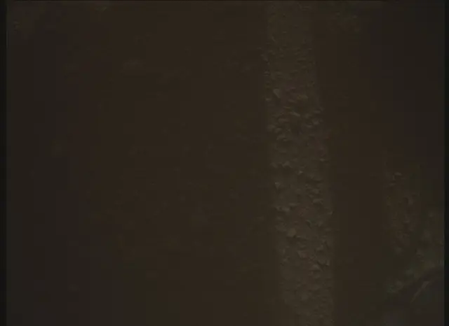 Sol 0: Mars Descent Imager (MARDI)