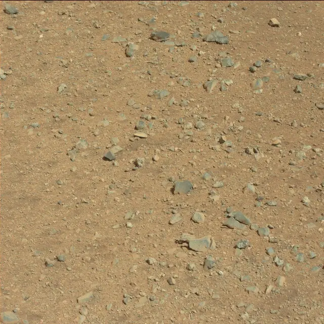 Sol 3: Mast Camera (Mastcam)