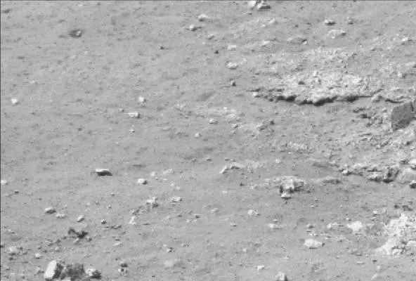 Sol 13: Mast Camera (Mastcam)