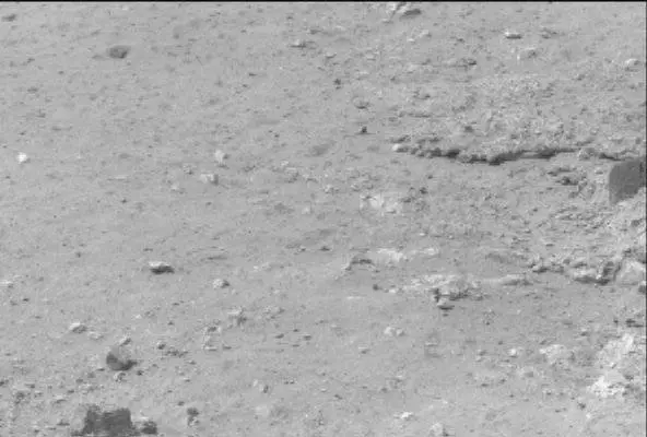 Sol 13: Mast Camera (Mastcam)