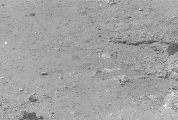Sol 13: Mast Camera (Mastcam)