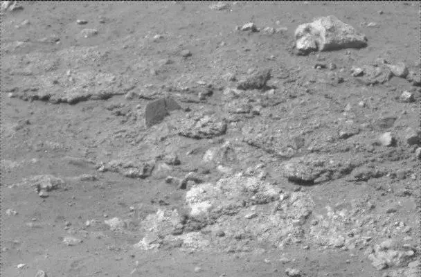 Sol 13: Mast Camera (Mastcam)