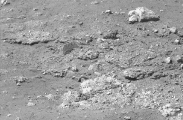 Sol 13: Mast Camera (Mastcam)