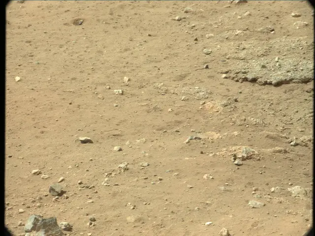 Sol 13: Mast Camera (Mastcam)