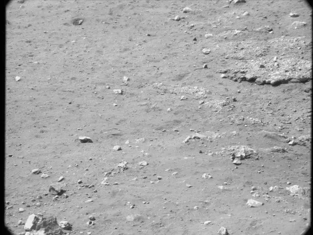 Sol 13: Mast Camera (Mastcam)