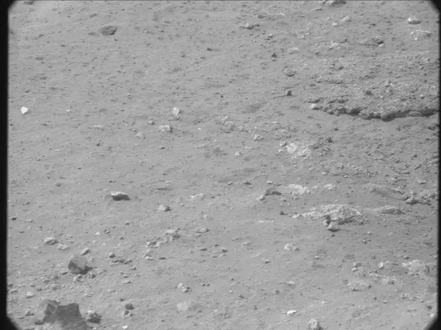 Sol 13: Mast Camera (Mastcam)