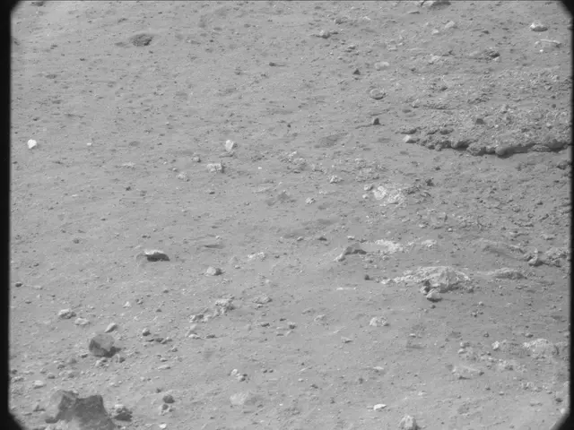 Sol 13: Mast Camera (Mastcam)