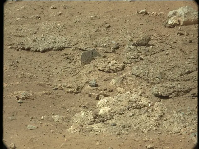 Sol 13: Mast Camera (Mastcam)
