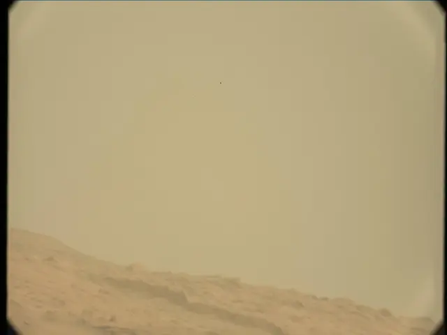 Sol 13: Mast Camera (Mastcam)
