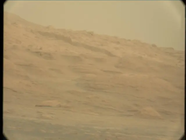 Sol 13: Mast Camera (Mastcam)