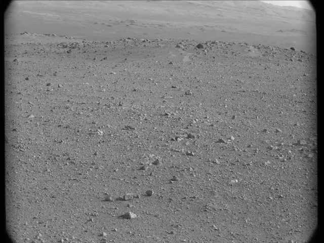 Sol 17: Mast Camera (Mastcam)