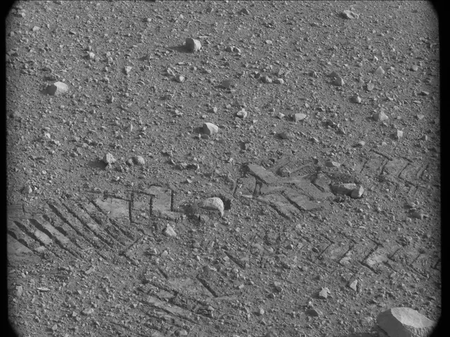 Sol 17: Mast Camera (Mastcam)