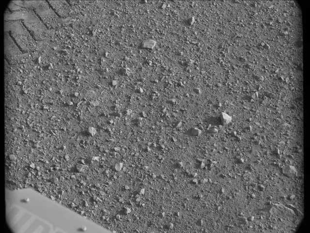 Sol 17: Mast Camera (Mastcam)