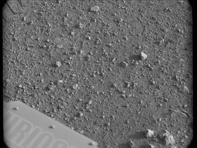 Sol 17: Mast Camera (Mastcam)