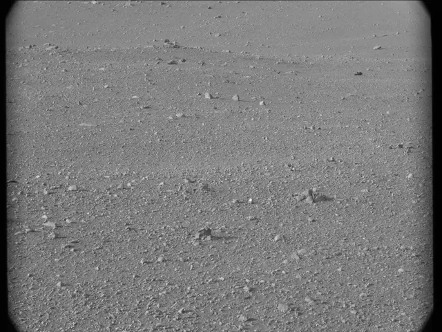 Sol 17: Mast Camera (Mastcam)