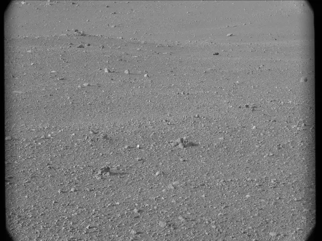 Sol 17: Mast Camera (Mastcam)