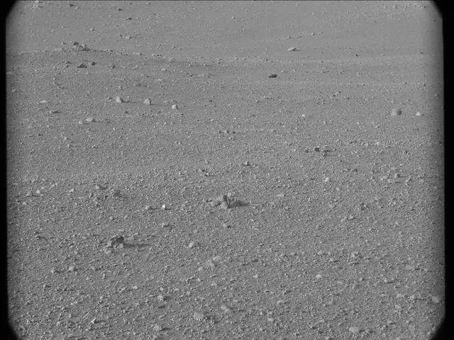 Sol 17: Mast Camera (Mastcam)