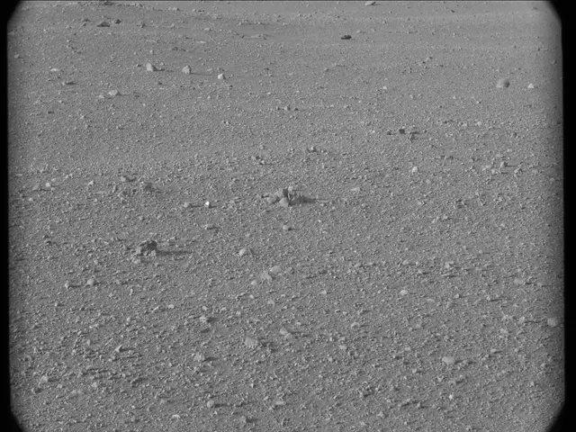 Sol 17: Mast Camera (Mastcam)