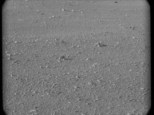 Sol 17: Mast Camera (Mastcam)