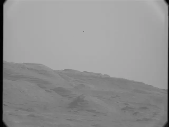 Sol 17: Mast Camera (Mastcam)
