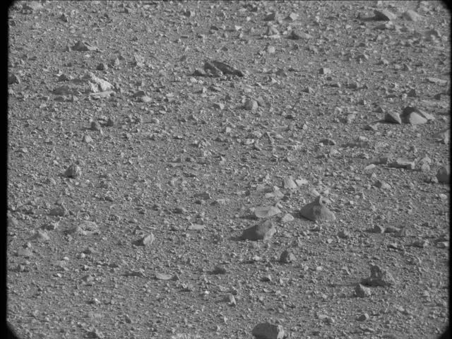 Sol 17: Mast Camera (Mastcam)