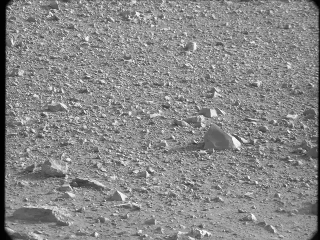 Sol 17: Mast Camera (Mastcam)