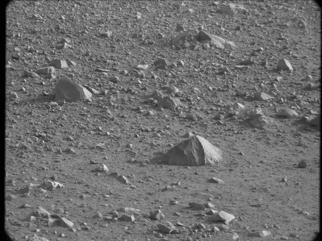 Sol 17: Mast Camera (Mastcam)