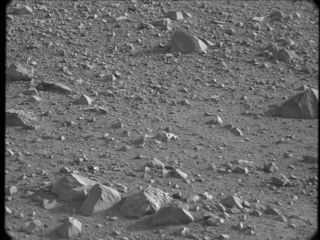 Sol 17: Mast Camera (Mastcam)