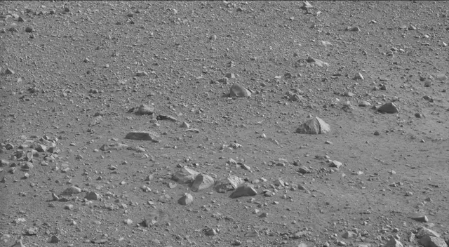 Sol 19: Mast Camera (Mastcam)
