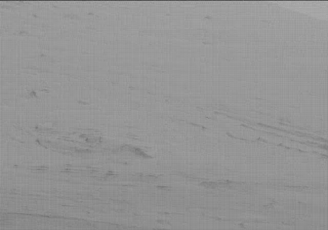 Sol 19: Mast Camera (Mastcam)