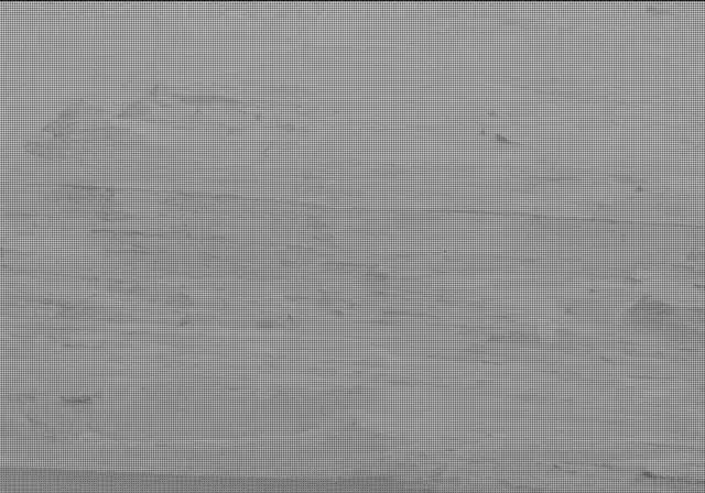 Sol 19: Mast Camera (Mastcam)