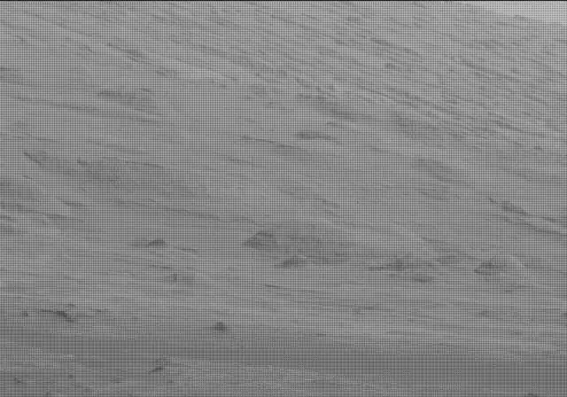 Sol 19: Mast Camera (Mastcam)