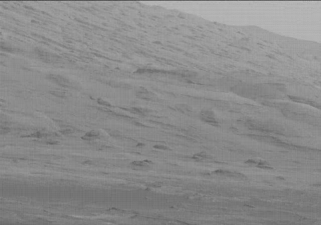 Sol 19: Mast Camera (Mastcam)