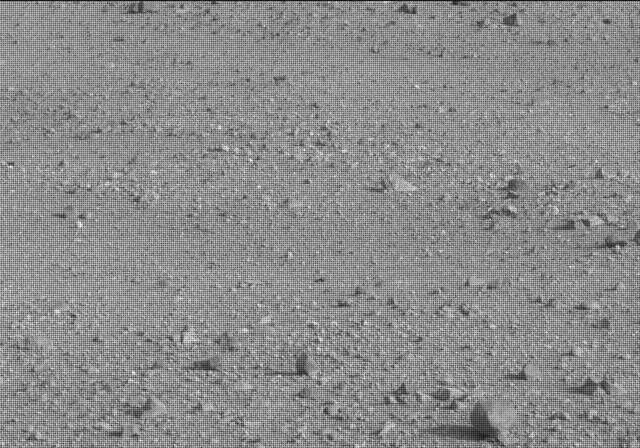 Sol 19: Mast Camera (Mastcam)