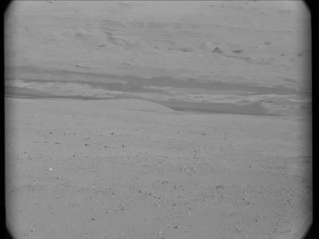 Sol 19: Mast Camera (Mastcam)
