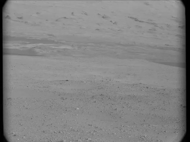 Sol 19: Mast Camera (Mastcam)
