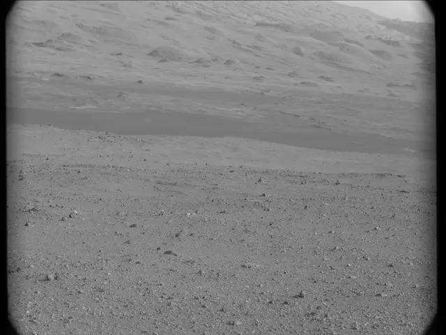 Sol 19: Mast Camera (Mastcam)