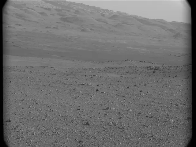 Sol 19: Mast Camera (Mastcam)