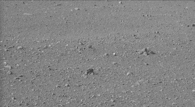 Sol 19: Mast Camera (Mastcam)