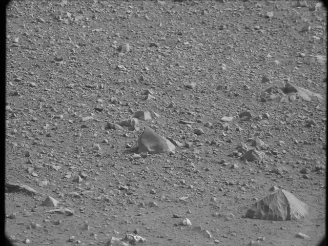 Sol 19: Mast Camera (Mastcam)