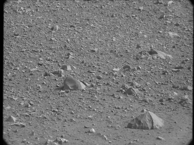 Sol 19: Mast Camera (Mastcam)
