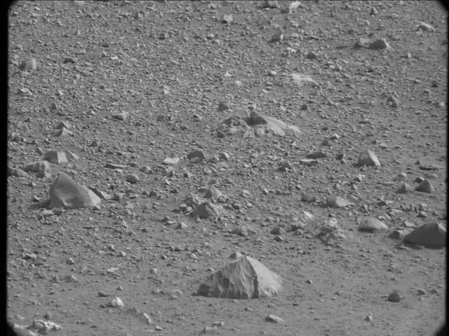 Sol 19: Mast Camera (Mastcam)