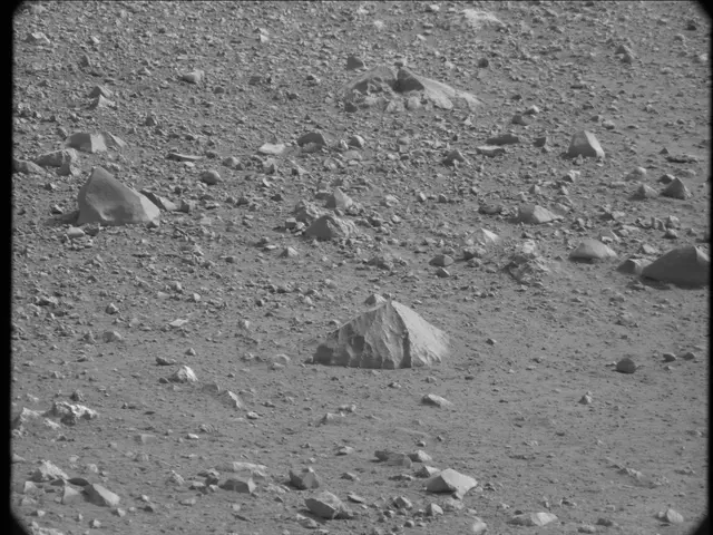 Sol 19: Mast Camera (Mastcam)