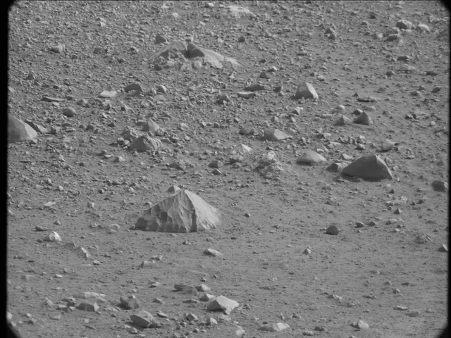 Sol 19: Mast Camera (Mastcam)
